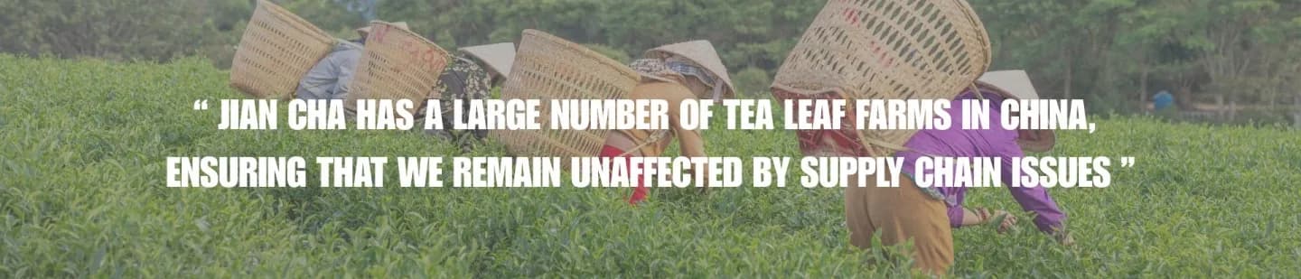 Tea mountains